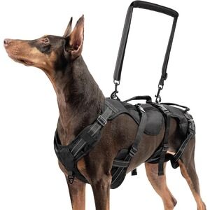 BINGPET XL Dog Support Harness with Handles for‎ Arthritis or Injury Recovery